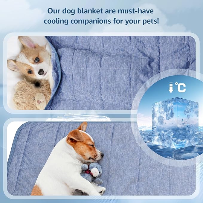 LOOBANI Dog Cooling Blanket for Large Dogs, 0.4>Q-Max Dog Cooling Throw Blanket, Washable & Lightweight Pet Blanket Suitable for Bed Cover Couch Sofa, Protect Furniture | 30x40, Blue