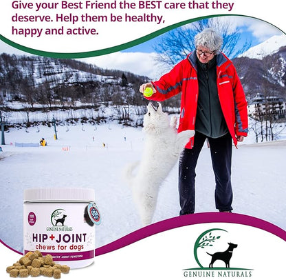 Hip and Joint Supplement for Dogs Relief,120 Count