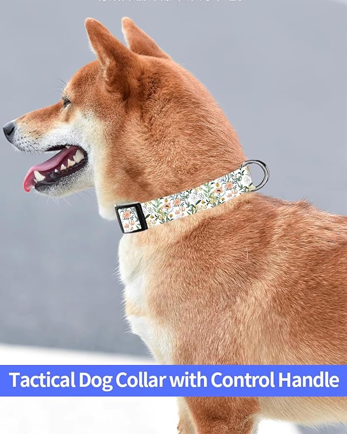Dog Collar