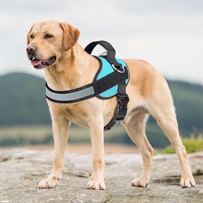 Haapaw Essential Dog Harness, No Pull Pet Vest with 3 Leash Clips, No Choke, Reflective, Adjustable and Padded, for Easy Walking and Training for Large Dogs(L, Blue)