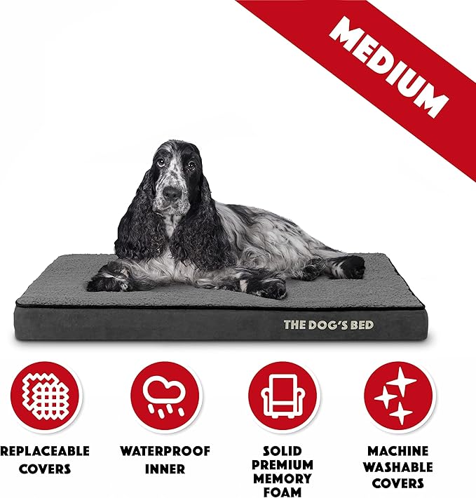 The Dog’s Bed Orthopedic Memory Foam Dog Bed 34x22x3, Pain