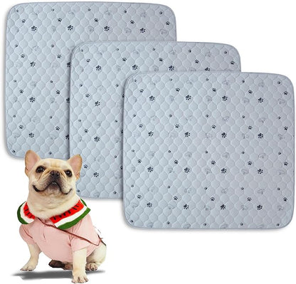 Washable Dog Pee Pads 3 Pack 34"x36" Ultra-Absorbent