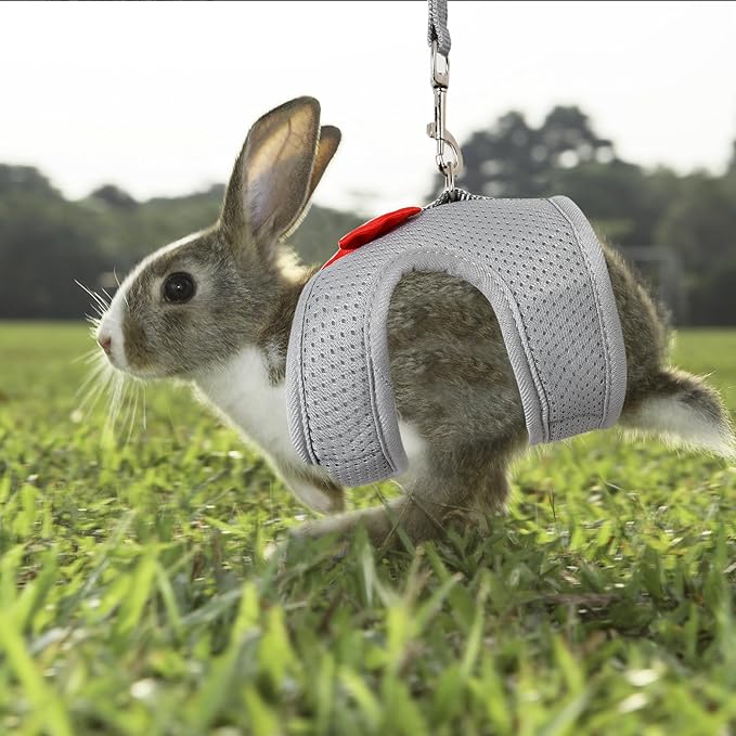 AIITLE Rabbit Harness and Leash Set with Cute Bow, Soft Breathable Mesh Vest Harness for Rabbits Kitten Ferret Puppy Small Pets Walking Supplies Grey L