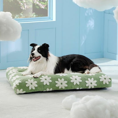 Lesure Large Dog Beds-Thick Shredded Chopped Foam Pet Bed Bottom(36'x27', Green)