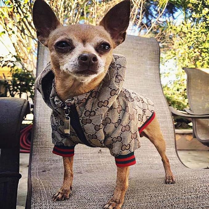 Dog Hoodie Luxury Dog Clothes Winter Dog Jacket