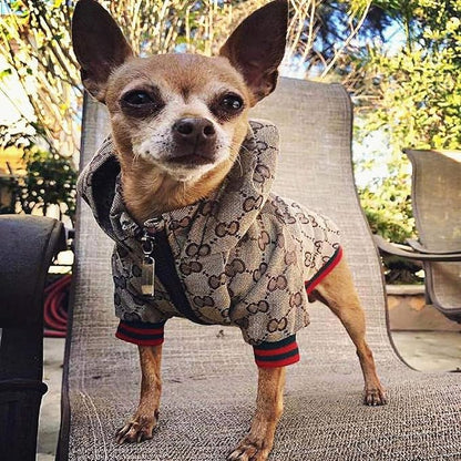 Dog Hoodie Luxury Dog Clothes Winter Dog Jacket