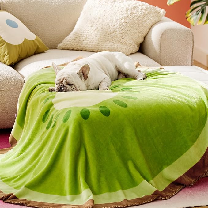 Lesure Dog Blankets for Medium Dogs 350GSM Flannel 40"x40", Green