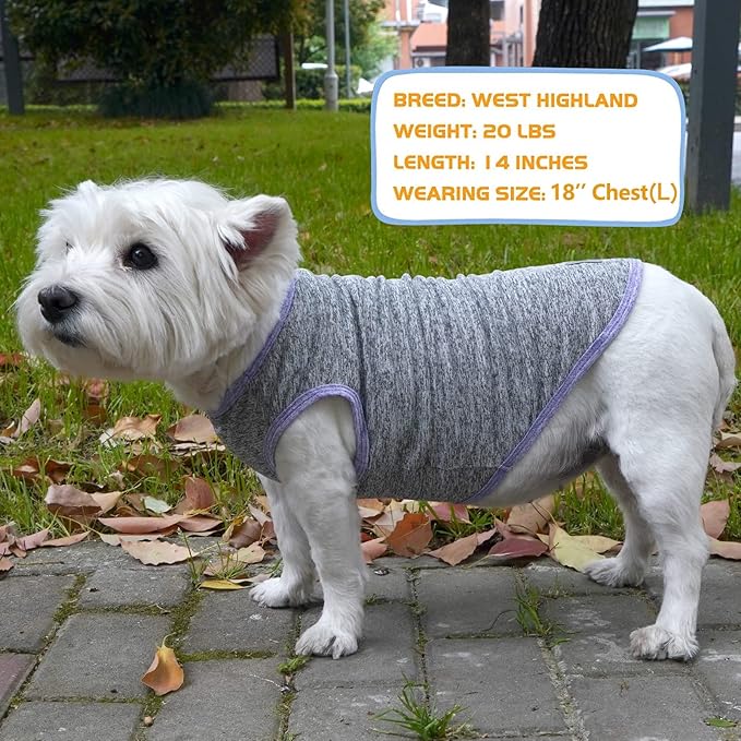 KYEESE 2 Pack Dog Shirts Quick Dry Soft Stretchy Dog T-Shirts with Reflective Label Tank Top Sleeveless Vest Sun Protection Dog Clothes for Medium Dogs 2XL