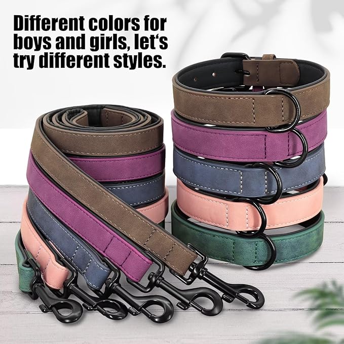 Didog Soft Padded Leather Dog Collar and Leash Set 4FT Leather