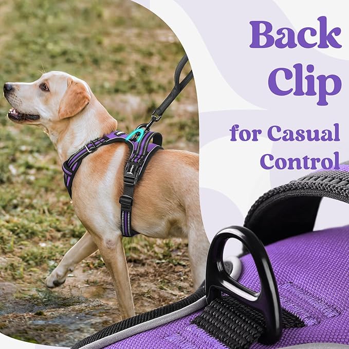 rabbitgoo Dog Harness for Large, No Pull Pet Harness with 3 Buckles, Adjustable Soft Padded Dog Vest with Instant Control Handle, Easy Walking Reflective Pet Vest for Extra Large Dogs, Purple, XL