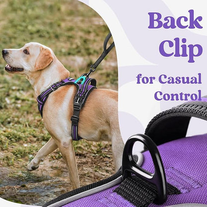 rabbitgoo Dog Harness Small Sized, No Pull Pet Harness with 3 Buckles, Adjustable Soft Padded Dog Vest with Instant Control Handle, Easy Walking Reflective Pet Vest for Small Dogs, Purple, S