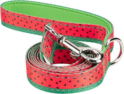 EcoBark Dog Leash - 4 FT / 5 FT / 6 FT Reflective Dog Leash- Eco-Bright Dog Leashes with Padded Handle - Strong Heavy Duty Dog Leash - Nylon Dog Leash for Medium and Large Dogs (Watermelon Dog Leash)