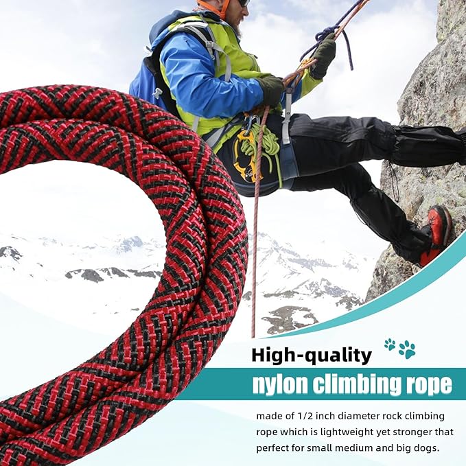 2 Dog Leash 360° Swivel 2 Dogs