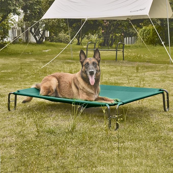 pettycare Elevated Outdoor Dog Bed 65 lbs,Green