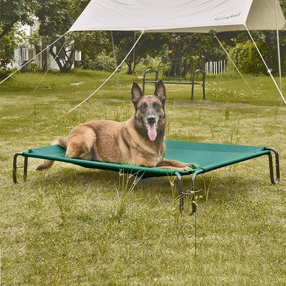 pettycare Elevated Outdoor Dog Bed 65 lbs,Green