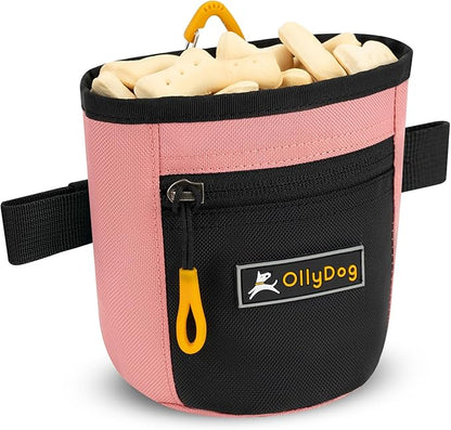 OllyDog Goodie Treat Bag, Dog Treat Pouch, Waist Belt Clip for Hands-Free Training, Magnetic Closure, Dog Training and Behavior Aids, Three Ways to Wear (Strawberry Ice)