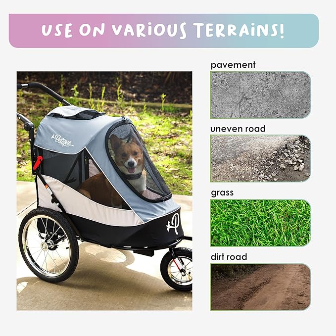 Petique Trailblazer Jogger