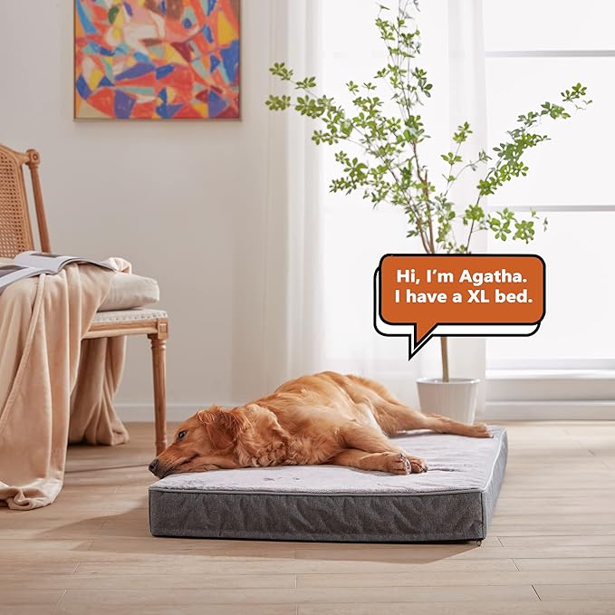 Memory Foam Large Dog Bed (35’’x 22’’)