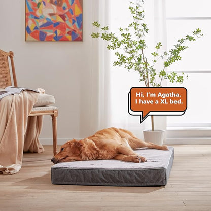 Memory Foam Large Dog Bed (35’’x 22’’)