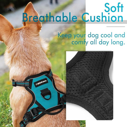 rabbitgoo Dog Harness, No-Pull Pet Harness with 2 Leash Clips, Adjustable Soft Padded Dog Vest, Reflective No-Choke Pet Oxford Vest with Easy Control Handle for Large Dogs, Teal, X-Small