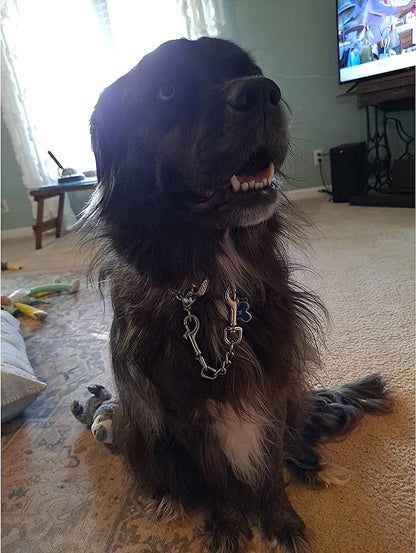 MOZETO Dog Collar Safety Clip (7 inches)