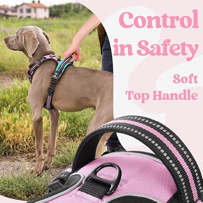 rabbitgoo Dog Harness Small Sized, No Pull Pet Harness with 3 Buckles, Adjustable Soft Padded Dog Vest with Instant Control Handle, Easy Walking Reflective Pet Vest for Small Dogs, Pink, S