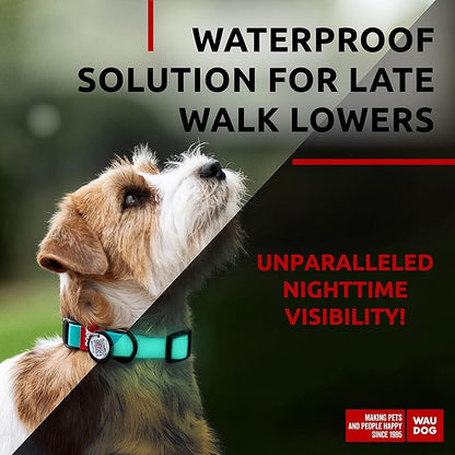 WAUDOG Waterproof Dog Collar