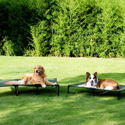EHEYCIGA 50 Inch Elevated Dog Cot Beds for Extra Large Dogs