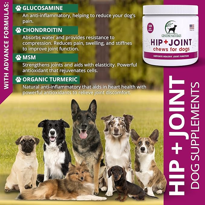 Hip and Joint Supplement for Dogs Relief,120 Count