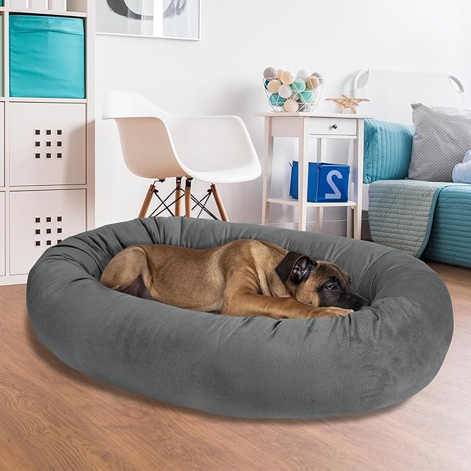 Arlee Orbit Orthopedic Memory Foam Dog Bed
