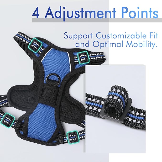 rabbitgoo Dog Harness 2 Leash