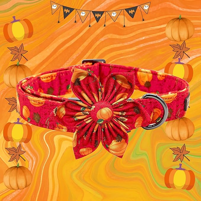 Elegant little tail Dog Collar with Flower