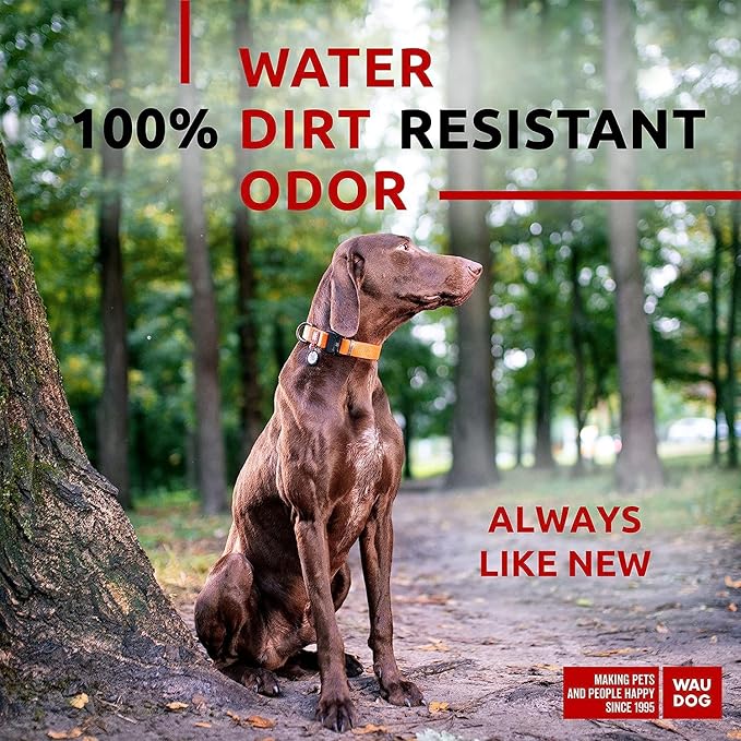WAUDOG Waterproof Dog Collar