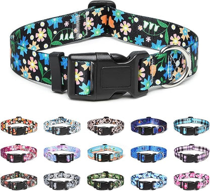 Adjustable Dog Collar with Patterns