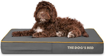 The Dog’s Bed Orthopedic Memory Foam Dog Bed 34x22, Pain