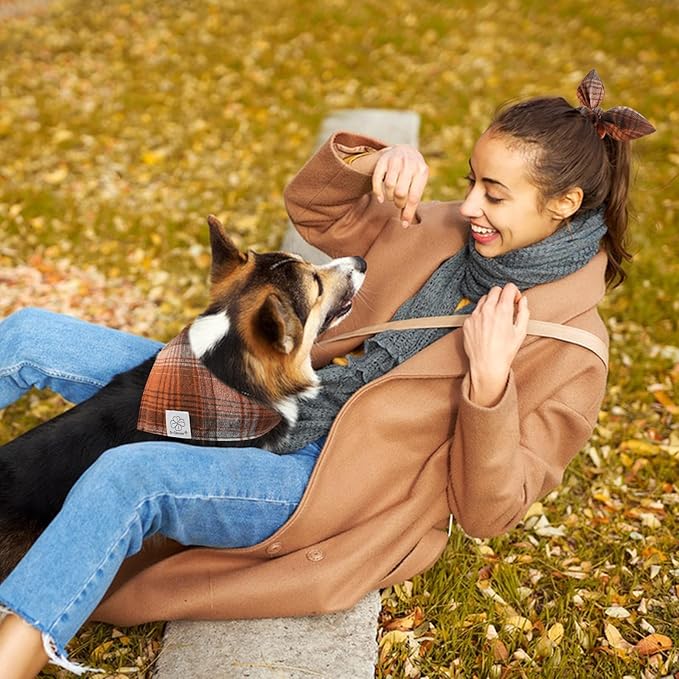 E-Clover Fall Dog Bandana & Matching Scrunchie-Thanksgiving Dog