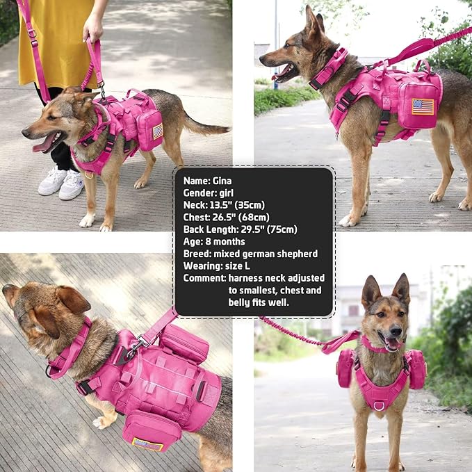 Forestpaw Pink Tactical Dog Harness for Large Dogs,Tactical Dog Collar with Bungee Leash Set,No Pull Military Dog Harness for Dog Walking Training,Adjustable for Medium Large Dogs,S