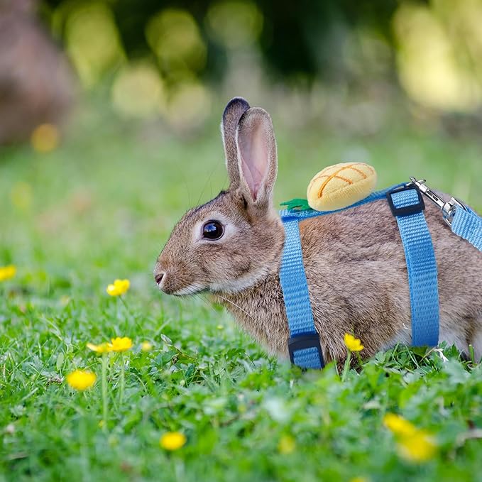 2 PCS Adjustable Rabbit Harness and Leash Set, Bunny Clothes for Rabbits, Small Pet Cute Vest Harness Leash with Decoration for Bunny Ferret Small Pets (Yellow and Red)