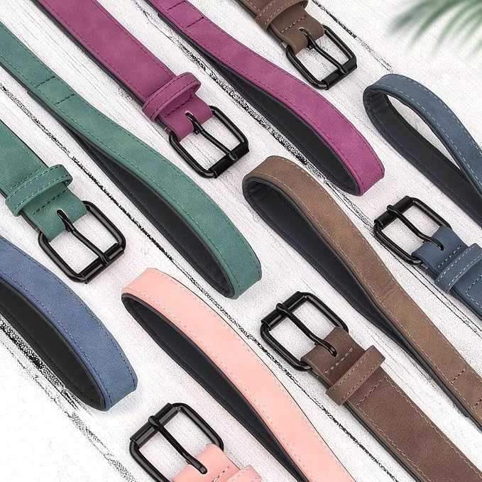 Didog Soft Padded Leather Dog Collar and Leash Set 4FT Leather