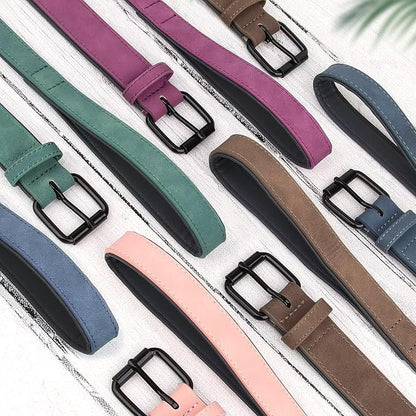 Didog Soft Padded Leather Dog Collar and Leash Set 4FT Leather