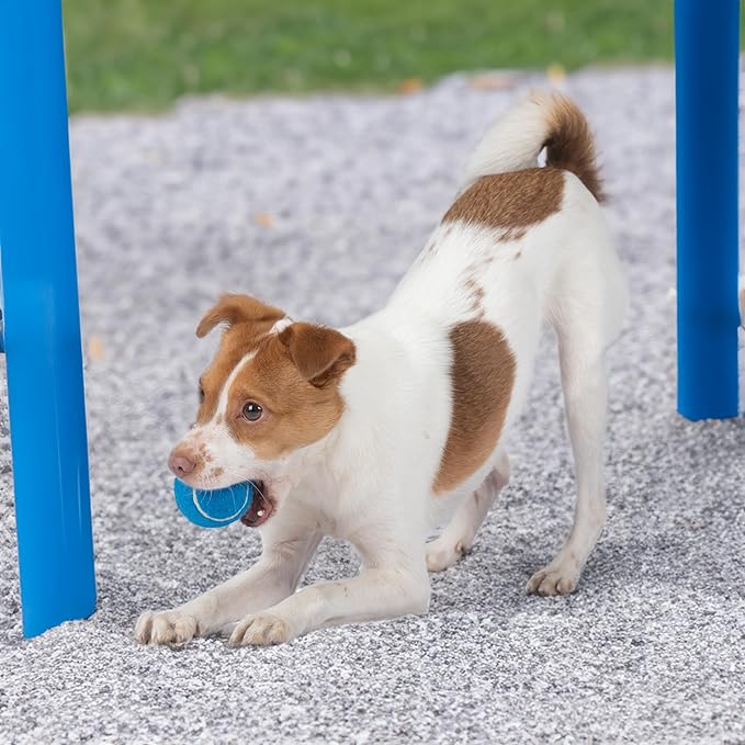 Best Pet Supplies Squeaky Tennis Toys for Dogs, 4-Pack, Heavy-Duty Interactive Pet Toys for Throwing and Fetching, Supports Exercise and Natural Behavior Training, Durable - Small