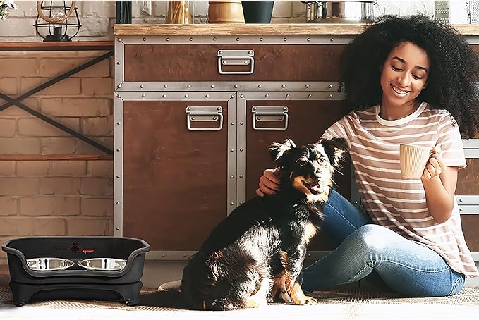 Neater Feeder Express Elevated Dog Bowls by Neater Pet Brands – Dog Bowls with Stand