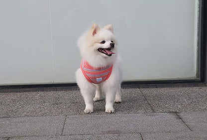 Striped Teacup Pet Dog T-Shirts 100% Cotton