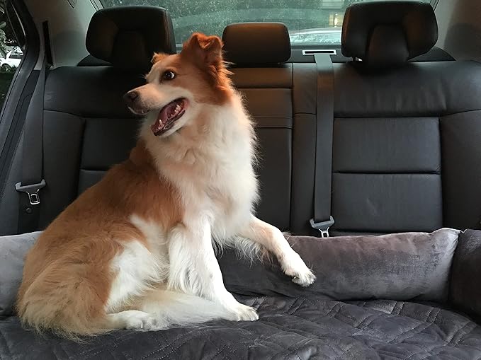 Brilliant Sunshine Premium Grey Silky Velvet Pet Sofa Bed