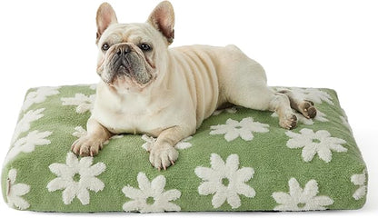 Lesure Dog Bed Medium Size Dog-Thick Shredded Chopped Foam Pet Bed Bottom(30'x20', Green)
