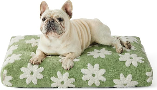 Lesure Dog Bed Medium Size Dog-Thick Shredded Chopped Foam Pet Bed Bottom(30'x20', Green)
