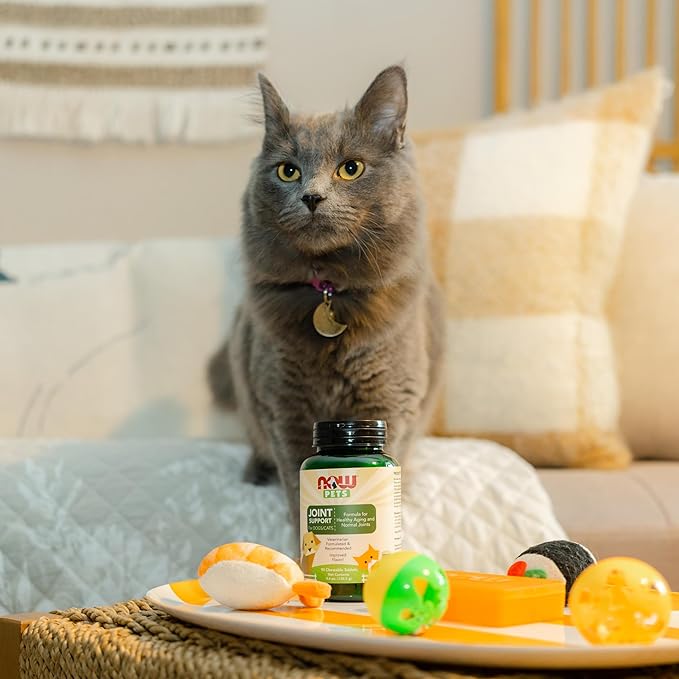 NOW Foods Pet Health 90 Chewable