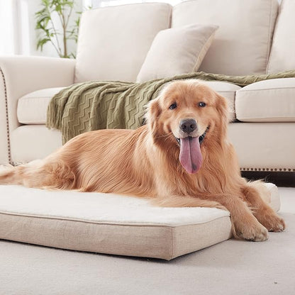 Memory Foam Orthopedic Large Dog Bed