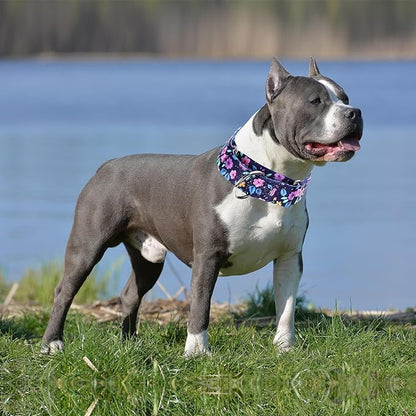 Martingale Dog Collars for Large Dogs 1.5 Inches