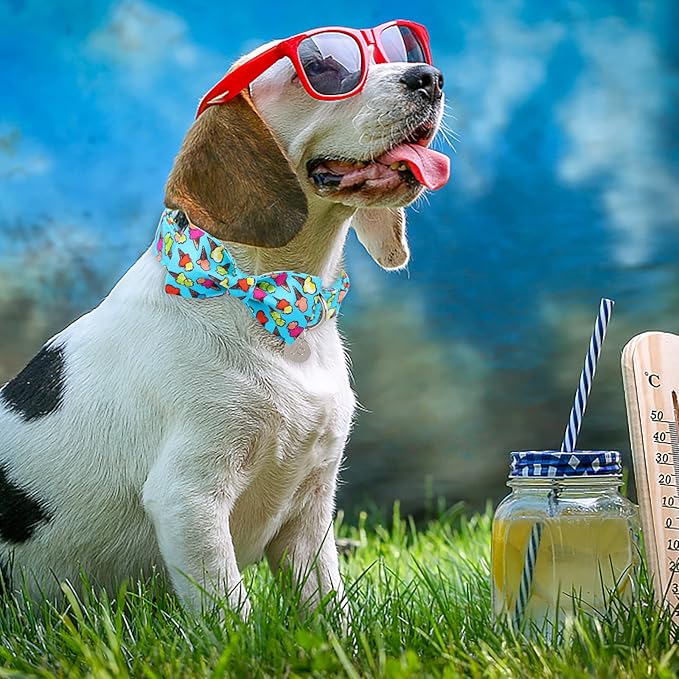 Summer Dog Collar with Bow Tie 16-26in